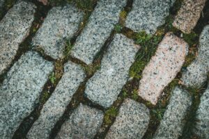 Zdjęcie do artykułu: Czyszczenie kostki brukowej metodą parową – czy to działa?