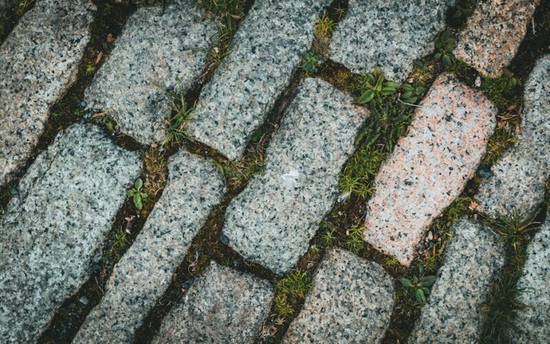 Zdjęcie do artykułu: Czyszczenie kostki brukowej metodą parową – czy to działa?