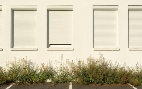 Zdjęcie do artykułu: Jaki tynk sprawdzi się na elewacji narażonej na słońce?